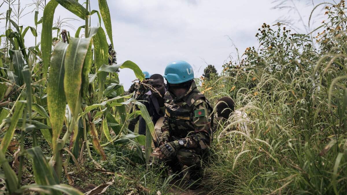 Adf Afp RDC: cinq morts dans une attaque des ADF | TVA Nouvelles
