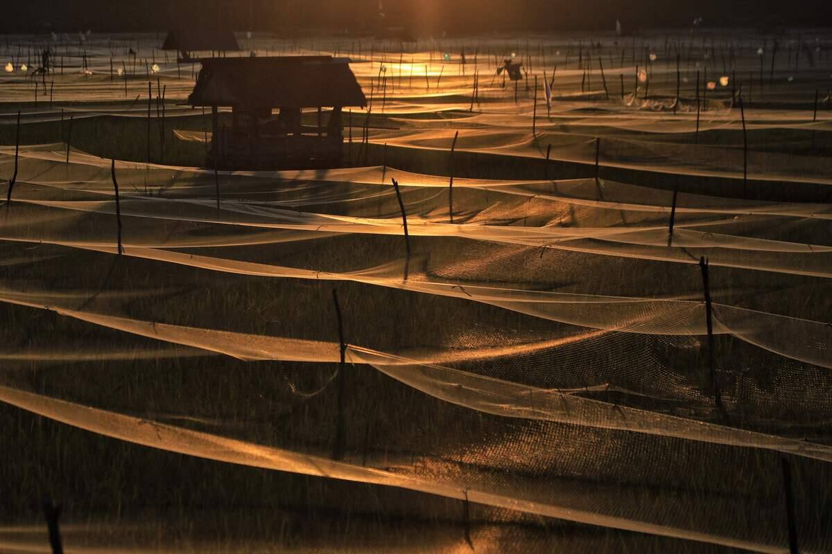 Indon&eacute;sie : une femme accus&eacute;e d&rsquo;adult&egrave;re fouett&eacute;e 100 fois, contre 15 fois pour son partenaire