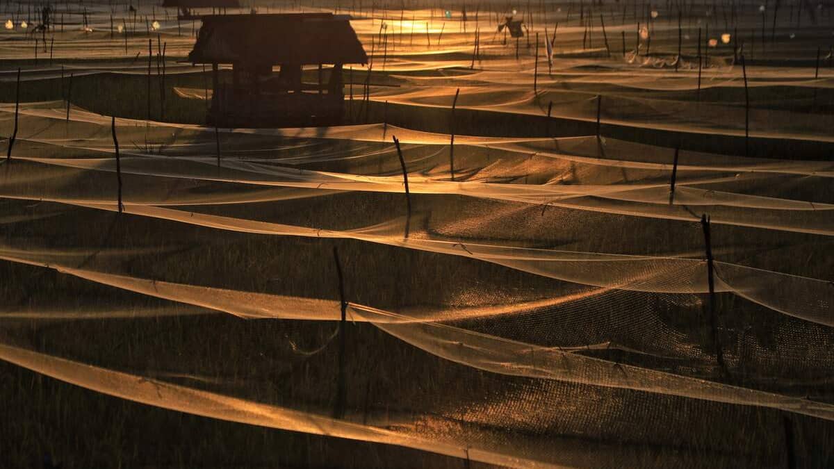 Indonésie : une femme accusée d’adultère fouettée 100 fois, contre 15 fois pour son partenaire