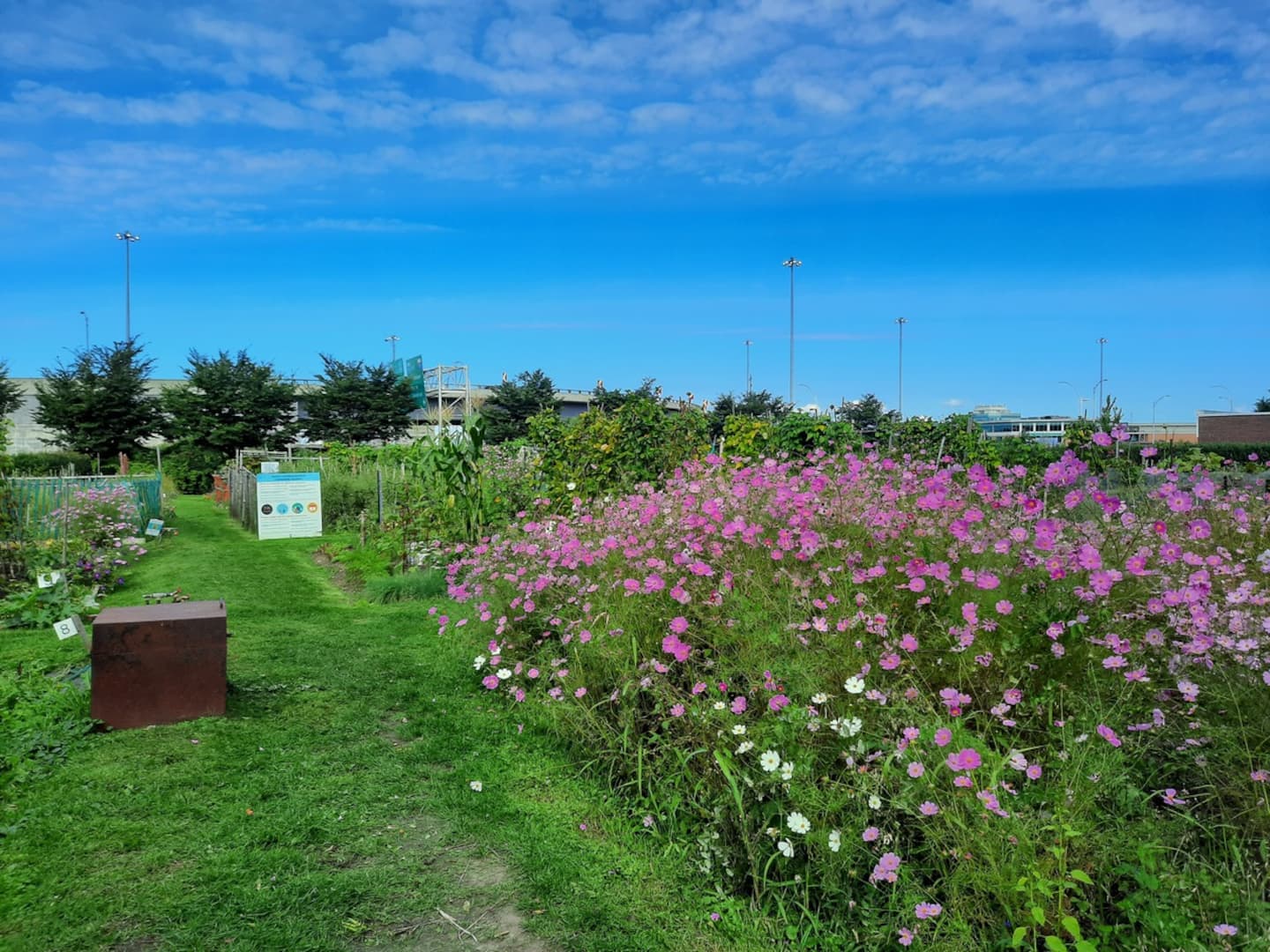 Vers une modernisation des jardins communautaires