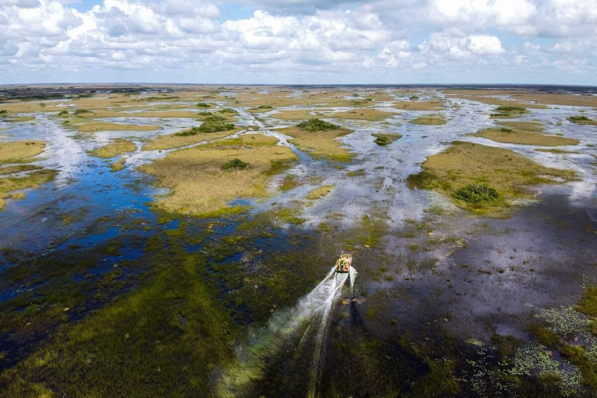 Le mar&eacute;cage des Everglades, un joyau de Floride menac&eacute; par le changement climatique
