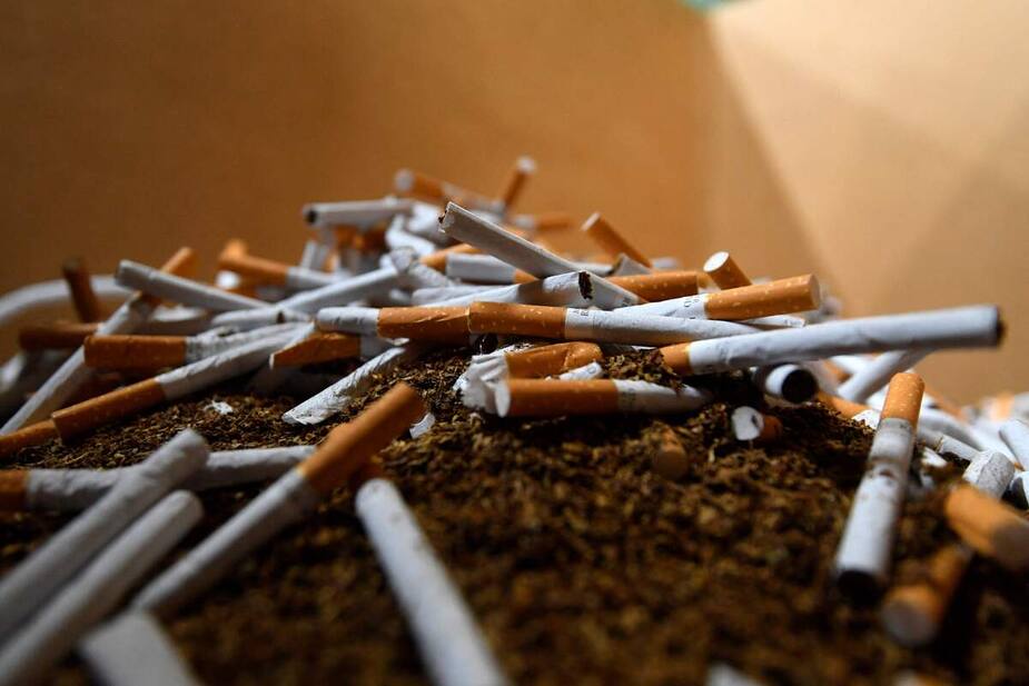 Image principale de l'article Le tabac, «désastreux» sur l'environnement