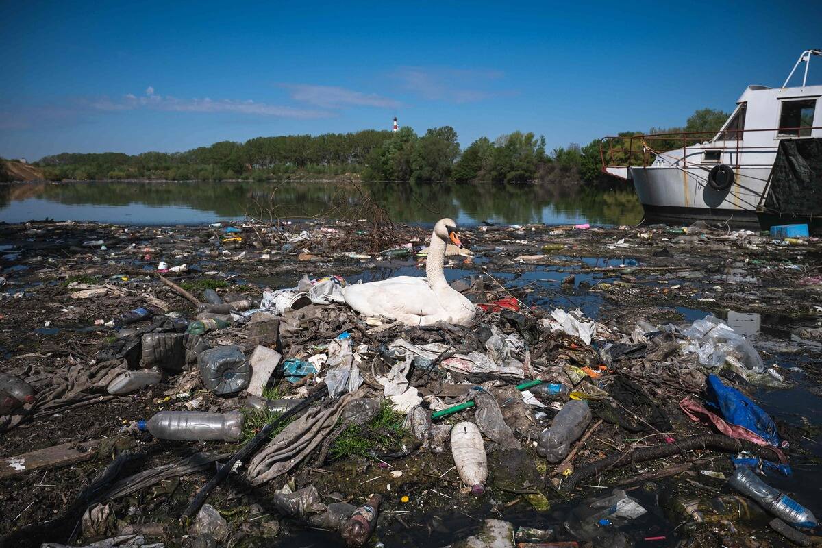 La pollution tue prématurément 9 millions de personnes dans le monde ...