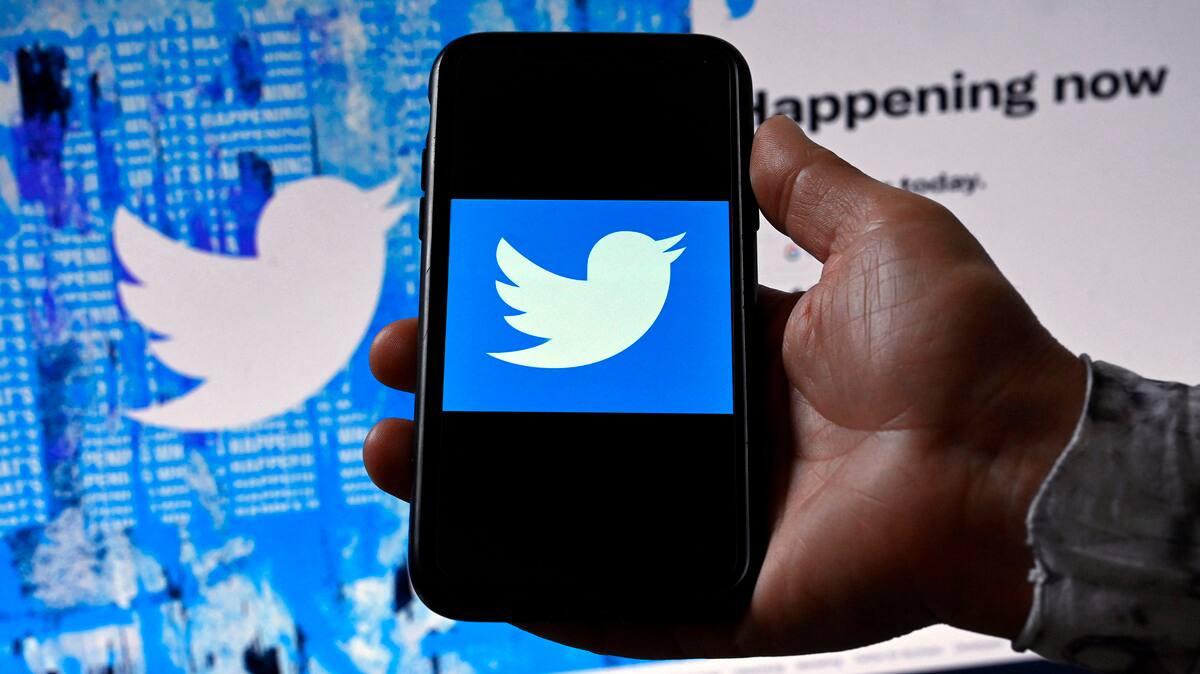 Twitter accuse le coup à Wall Street après l'abandon du rachat par Elon Musk