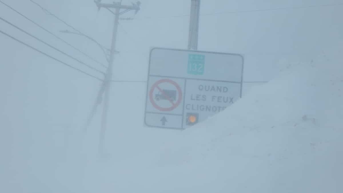 Jusqu'à 20 cm de neige attendus en Gaspésie