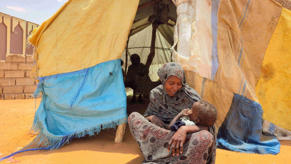 Sudan: UN “red alert” in the face of the ongoing “catastrophe” in El-Obeid, besieged by paramilitaries Sudan: UN “red alert” in the face of the ongoing “catastrophe” in El-Obeid, besieged by paramilitaries
