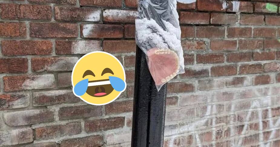 Image principale de l'article Un dentier retrouvé et accroché à un poteau