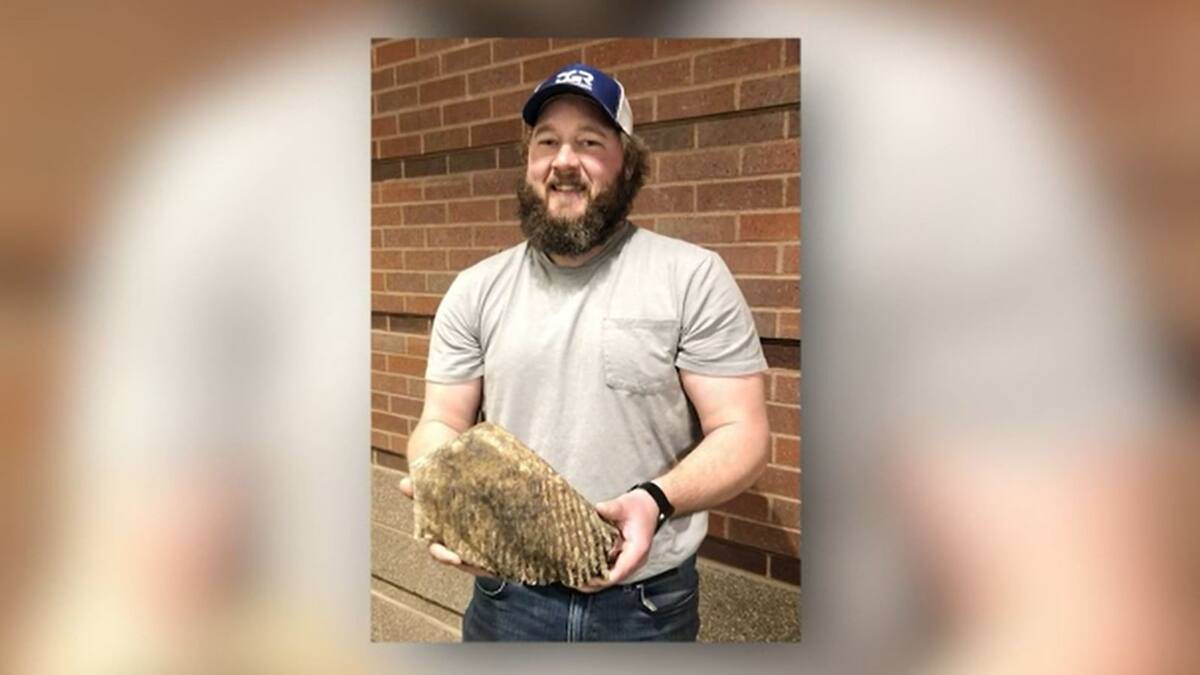 EN IMAGES | Découverte d’une dent de mammouth laineux vieille de 20 000 ans