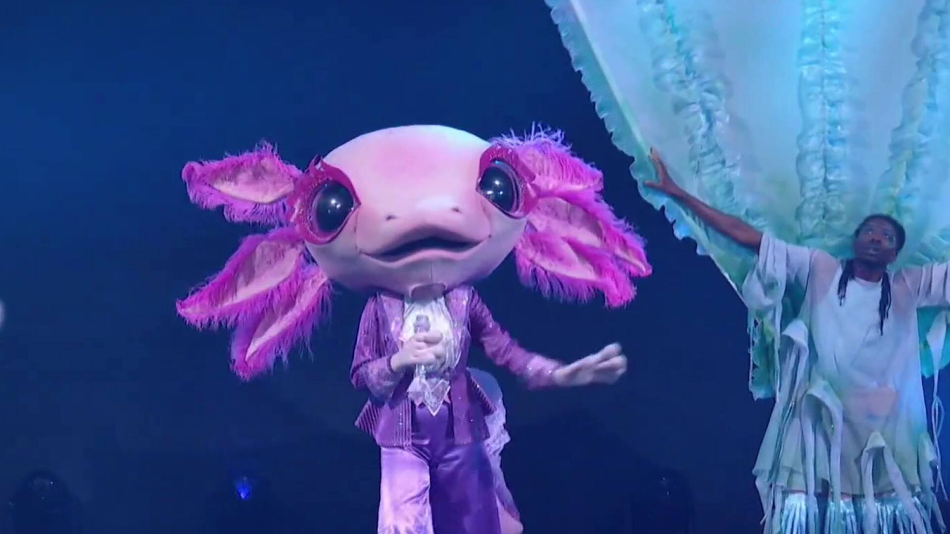 Voici les 4 finalistes de la 5e saison!