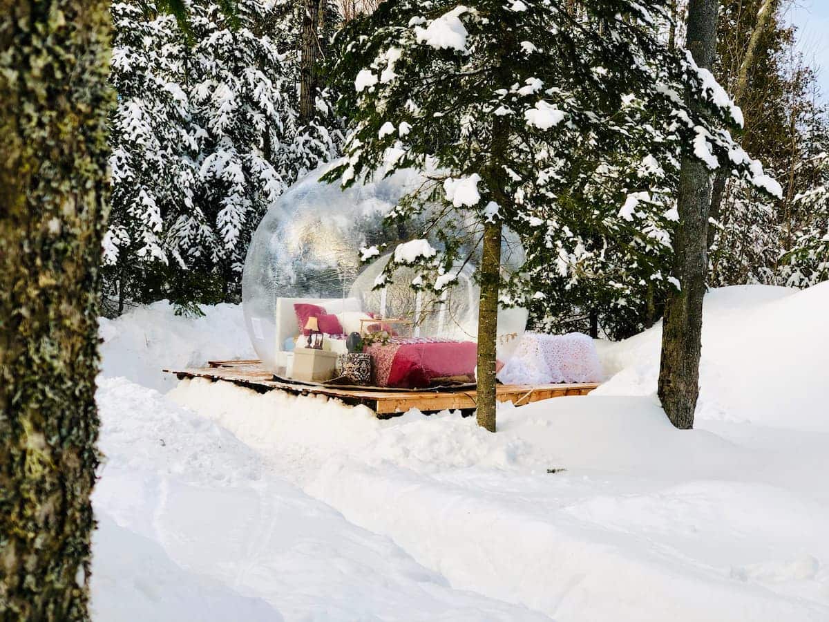 Un nuitée dans une «bulle» tout près des chevaux