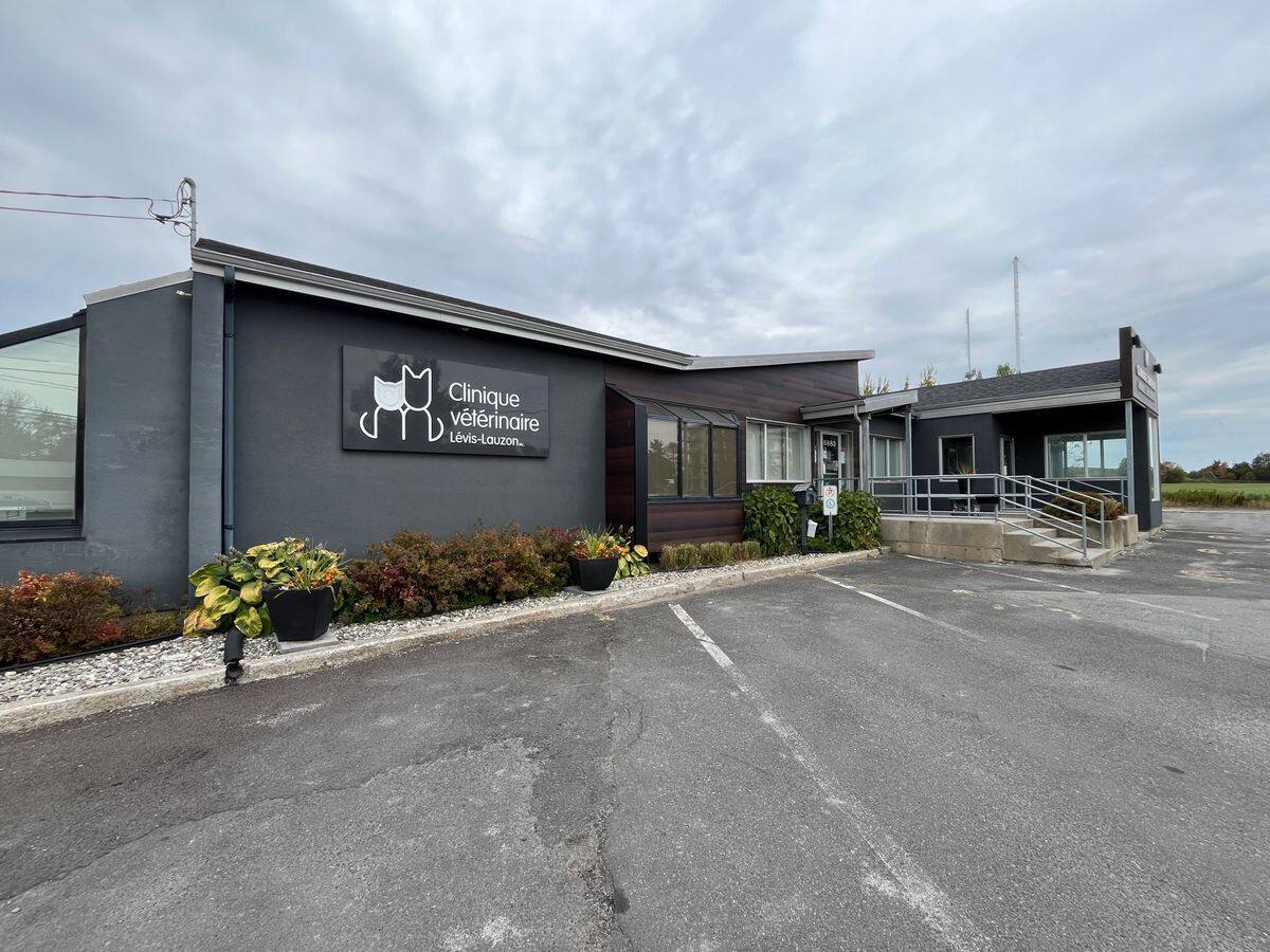 La clínica veterinaria de Lévis-Lauzon, perteneciente al grupo Daubigny, recientemente cerró temporalmente.