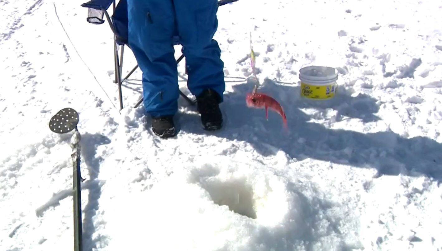 P&ecirc;che blanche : pr&egrave;s d&rsquo;un record