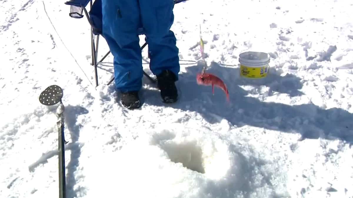 Pêche blanche : près d’un record