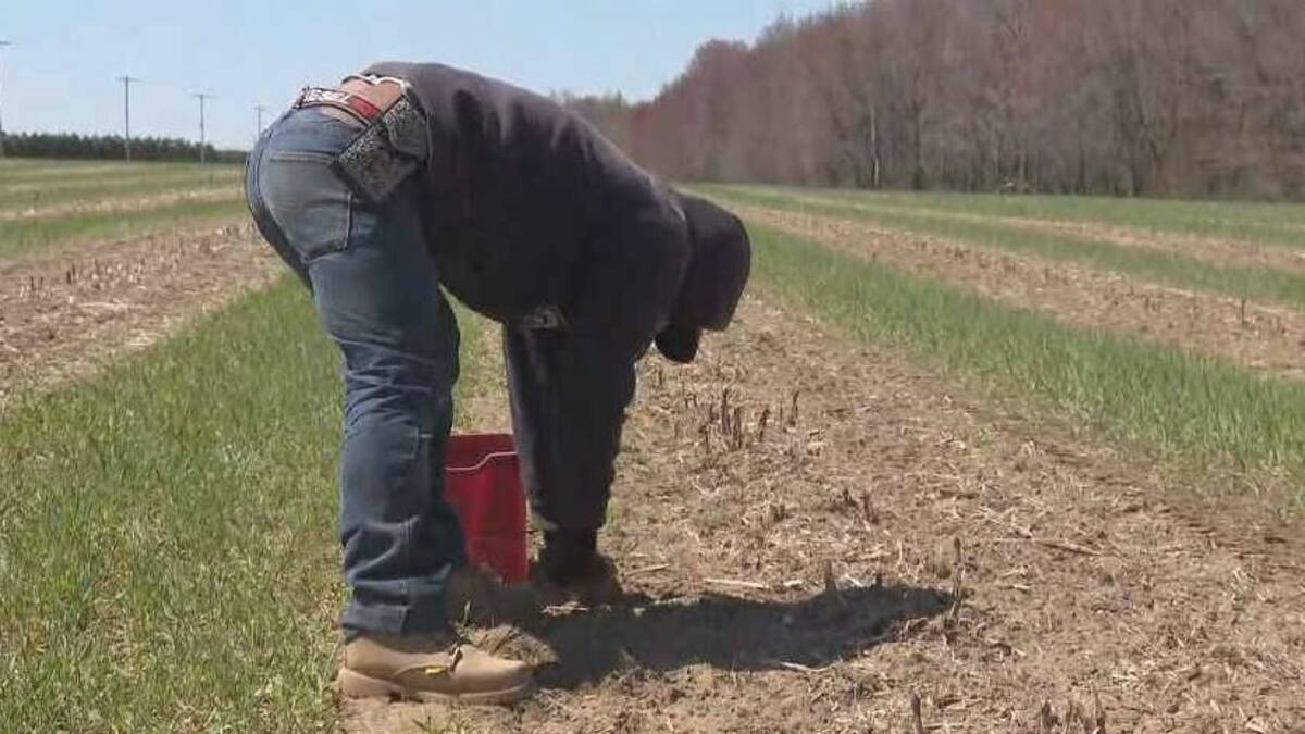 Risques de feux de forêt: un danger pour les agriculteurs