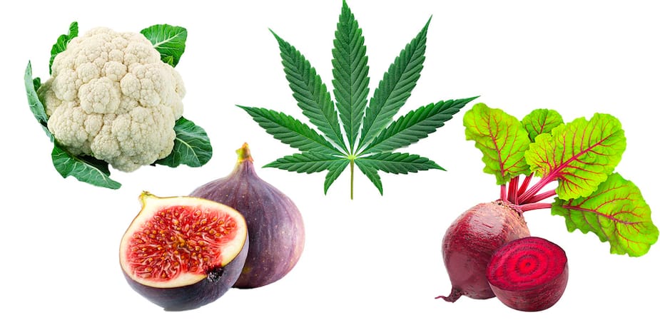 Image principale de l'article Le choix de produits de la SQDC est très étrange