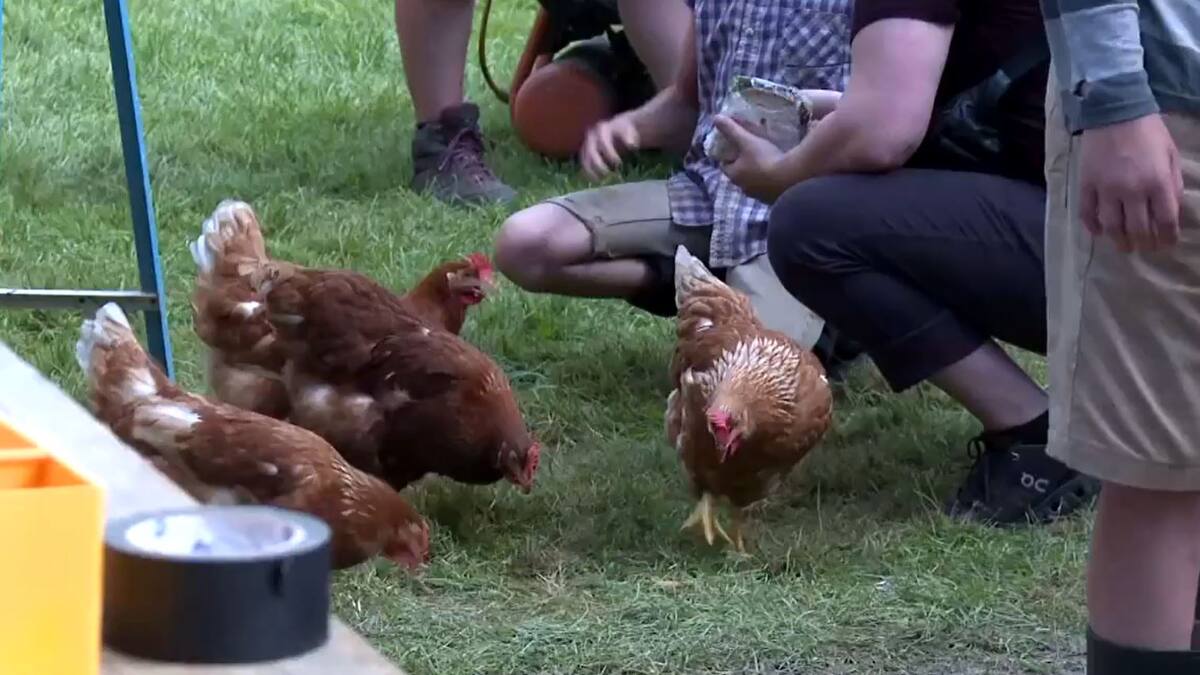 «Coco Ferme» est le nouveau film des Contes pour tous