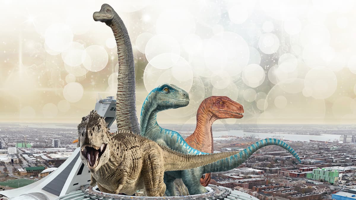 Notre Bye bye sportif 2024