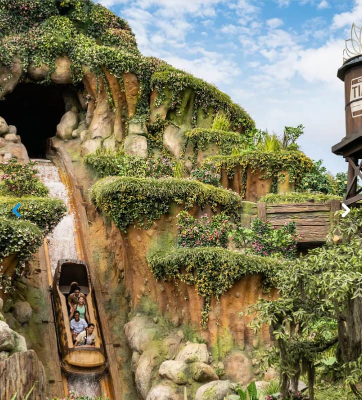 Chute de 15 mètres à Disneyland: un ado blessé après avoir quitté un manège en plein mouvement