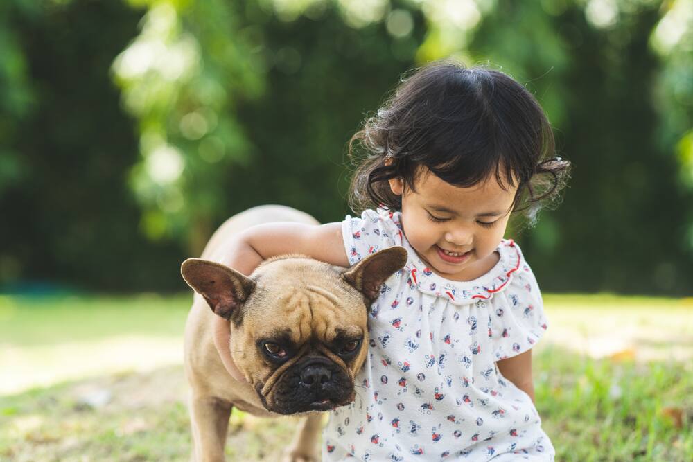 Les 7 Races De Chiens Les Plus Doux Avec Les Enfants Salut Bonjour