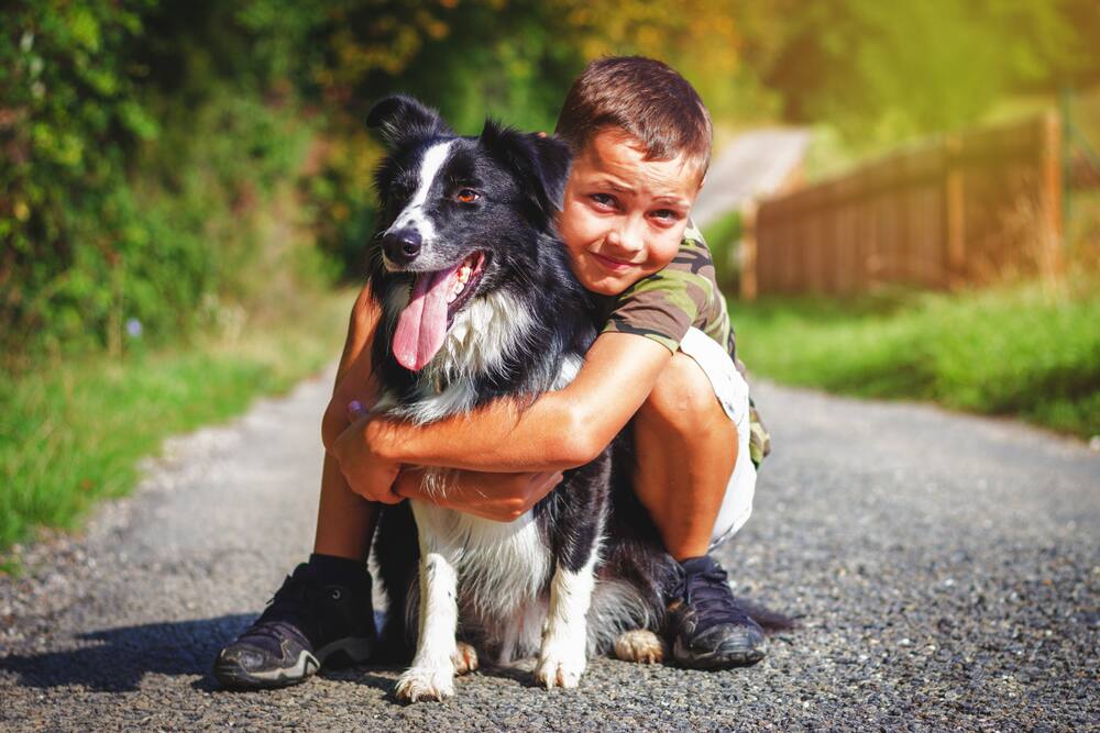 Quel Est Le Chien Le Plus Gentil