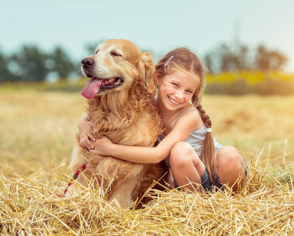 Quel Est Le Chien Le Plus Gentil