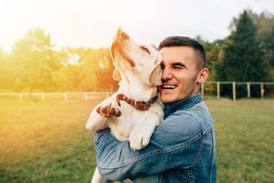 Image principale de l'article Notre chien sait quand notre santé est fragile