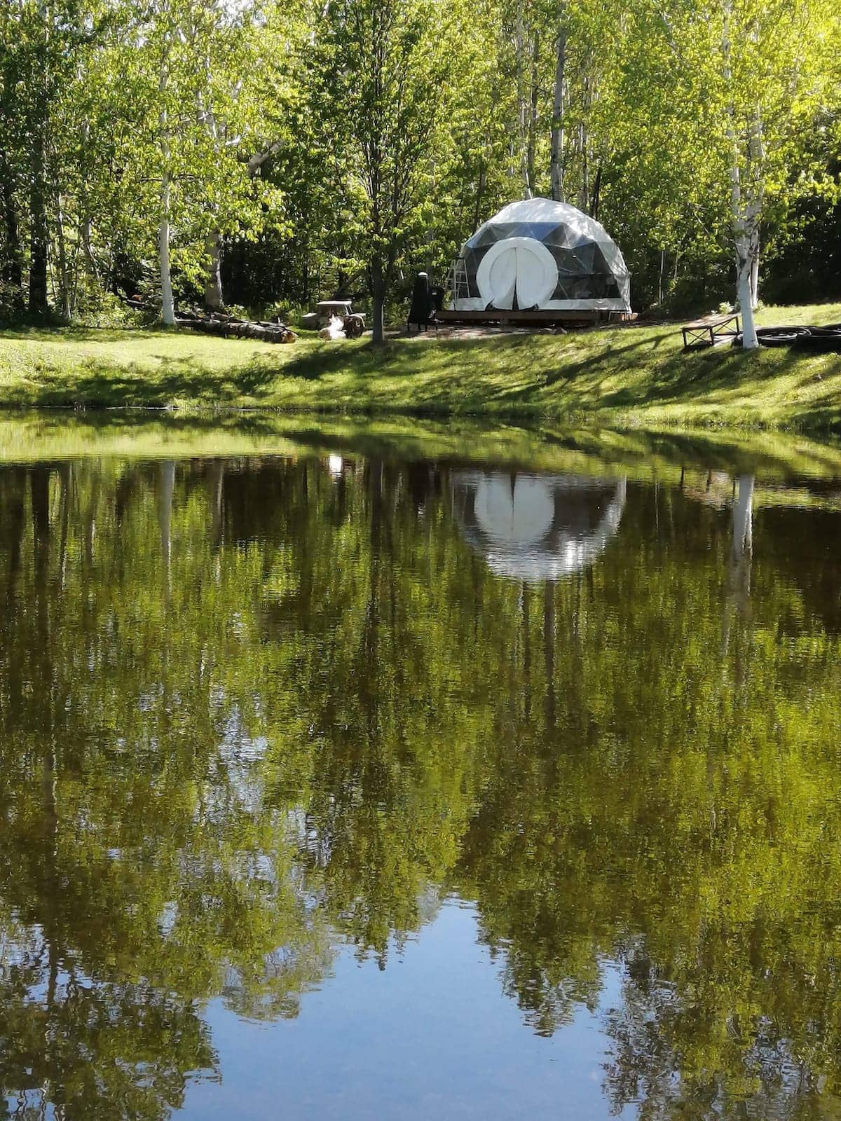 Glamping 11 dômes à louer dans les forêts (bientôt multicolores) du
