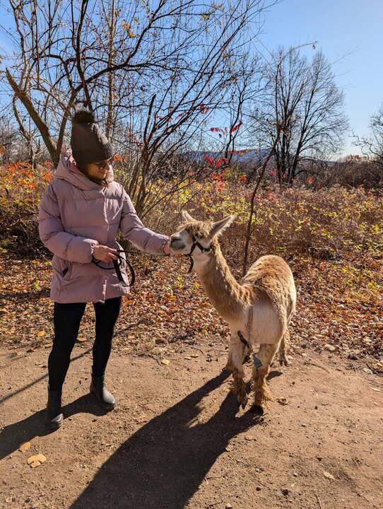 6 activités originales à vivre au Québec 