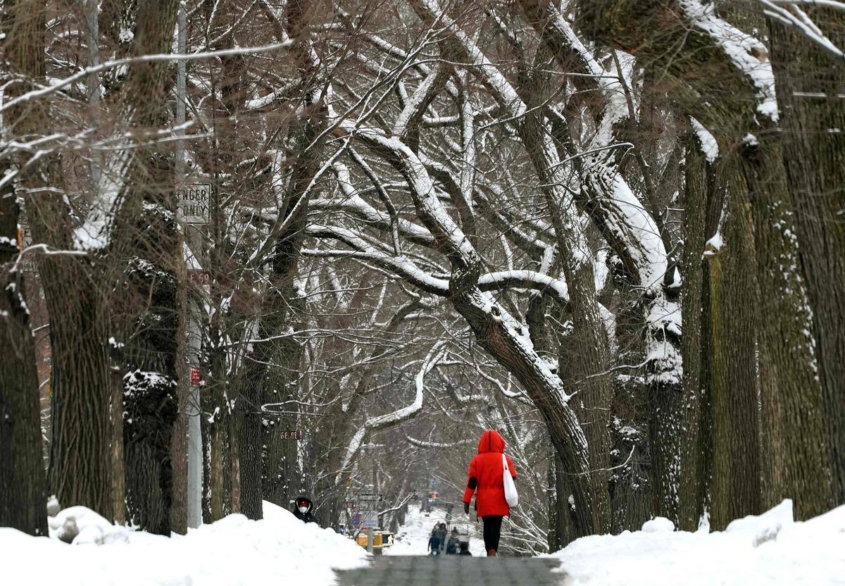 Une vague de froid polaire s’abat sur les États-Unis | JDM