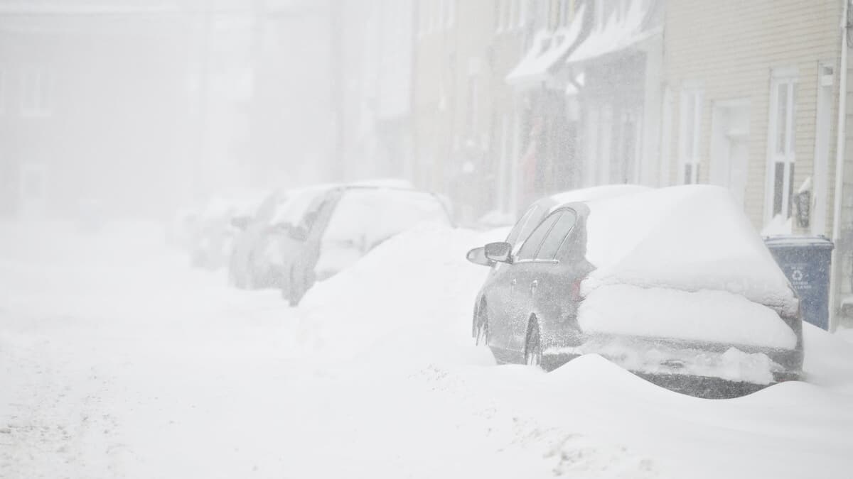 Tempête hivernale: voici combien de centimètres de neige sont tombés ...