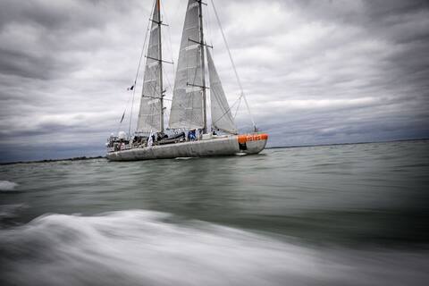 Strange viruses, including herpes, discovered on the surface of oceans and seas