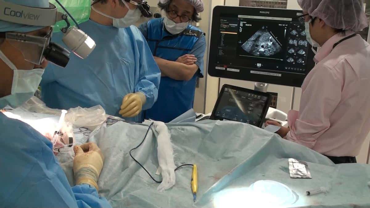 Au Japon, les naissances reculent pour la dixième année consécutive