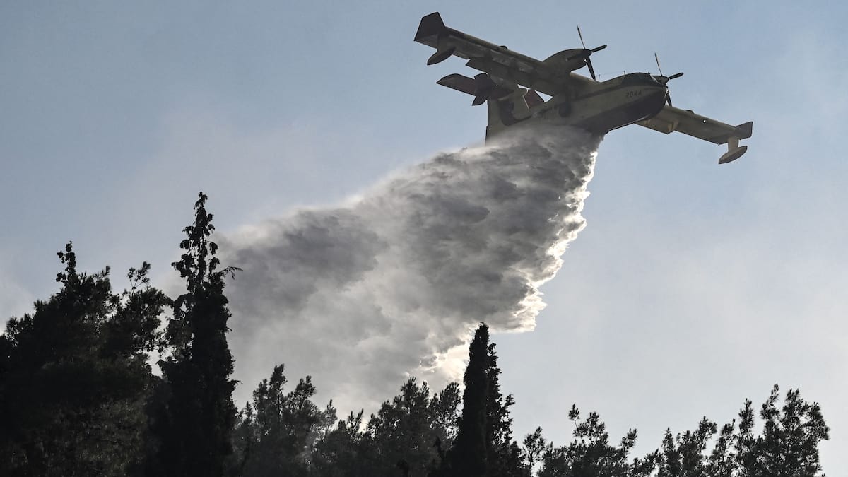 Greece: two dead in a forest fire near Thessaloniki, according to a new report Greece: two dead in a forest fire near Thessaloniki, according to a new report