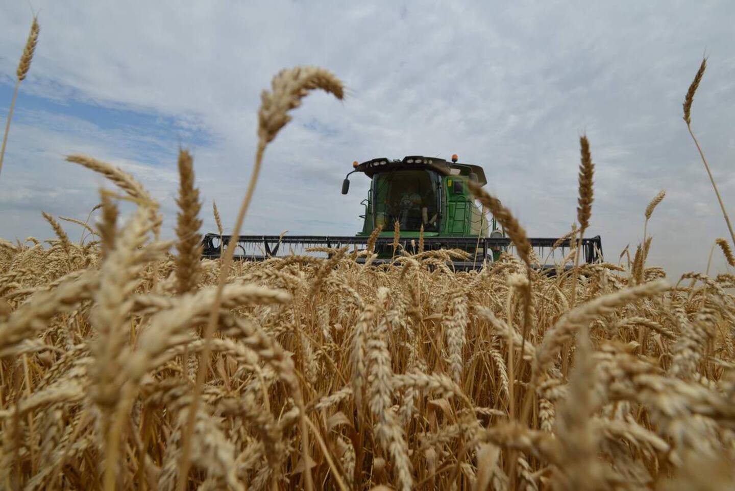 L'accord sur les céréales ukrainiennes reconduit pour l'hiver