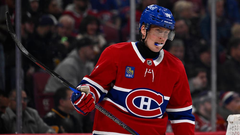 Laine : utile, malgré son absence
Laine : utile, malgré son absence