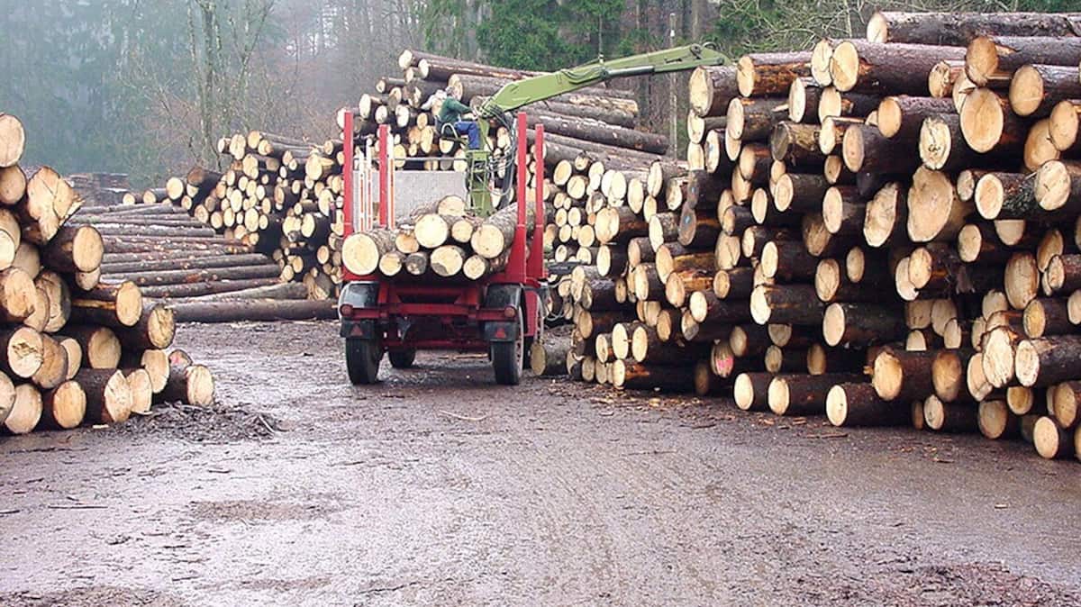 Exportations de bois d’œuvre: des droits de douane «injustes», dénonce la ministre