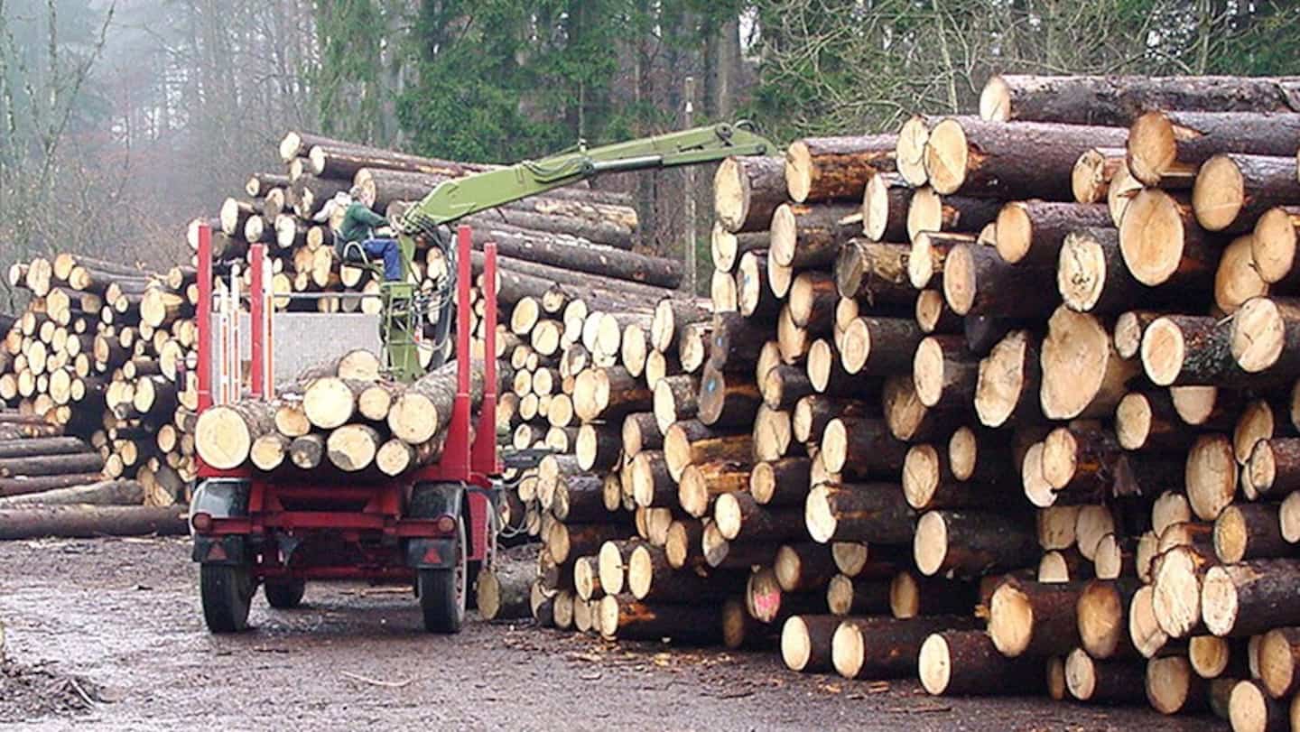 Washington impose une taxe de 10% sur le bois canadien