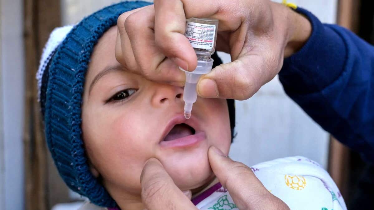 Gaza: accord pour des «pauses humanitaires» localisées pour la vaccination contre la polio, assure l’OMS