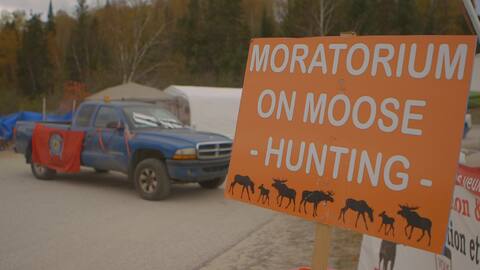 Moose hunting: