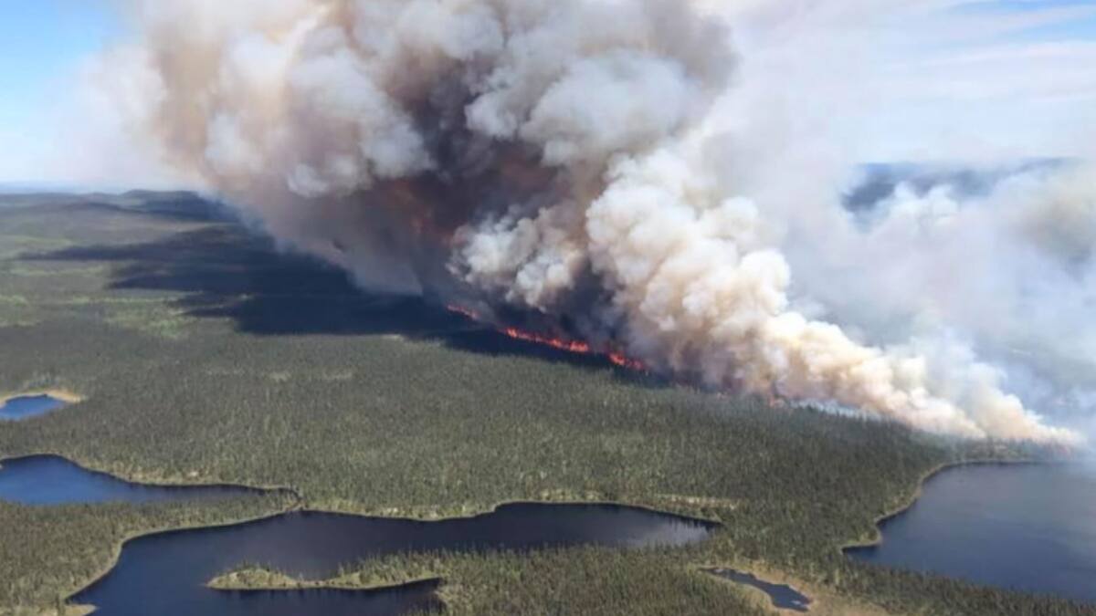 e6caf150-b27c-11ea-b94f-d1a617348402_ORI