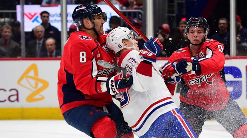 Le CH, petit et jeune? Pas tant que ça! On déboulonne deux mythes qui circulent abondamment sur le Tricolore