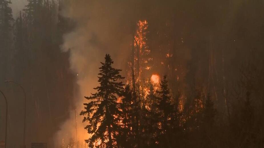 Les feux zombies ont contribué à environ 0,8% des zones brûlées entre 2002 et 2018.