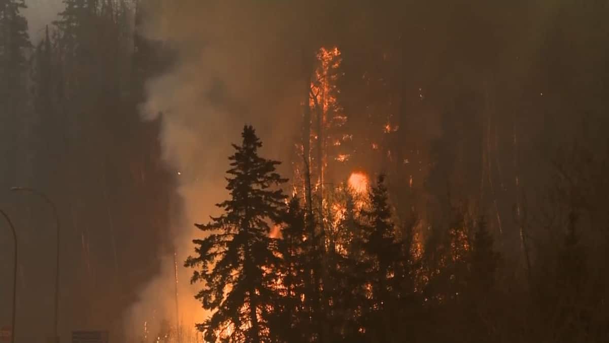 4500 hectares ravagés par les flammes au Nunavik