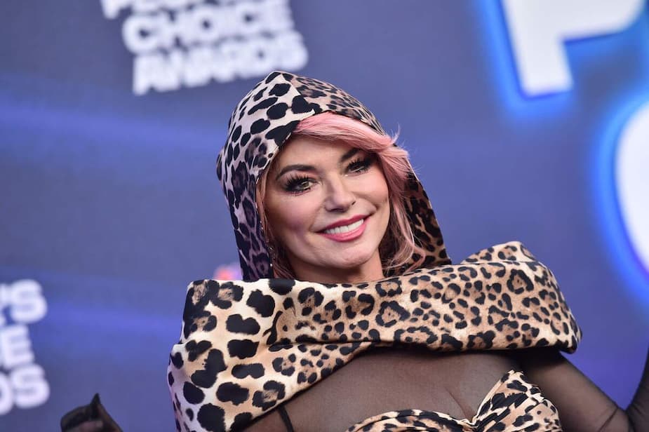 Image principale de l'article Shania Twain en robe transparente vole la vedette
