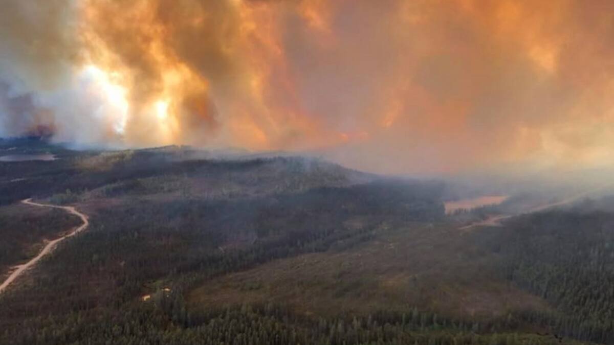 Le feu de forêt au LacSaintJean prend de l'ampleur TVA Nouvelles