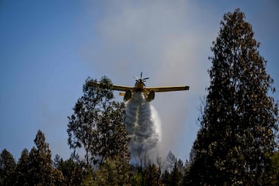 Forest fire destroys 7,000 hectares in central Portugal