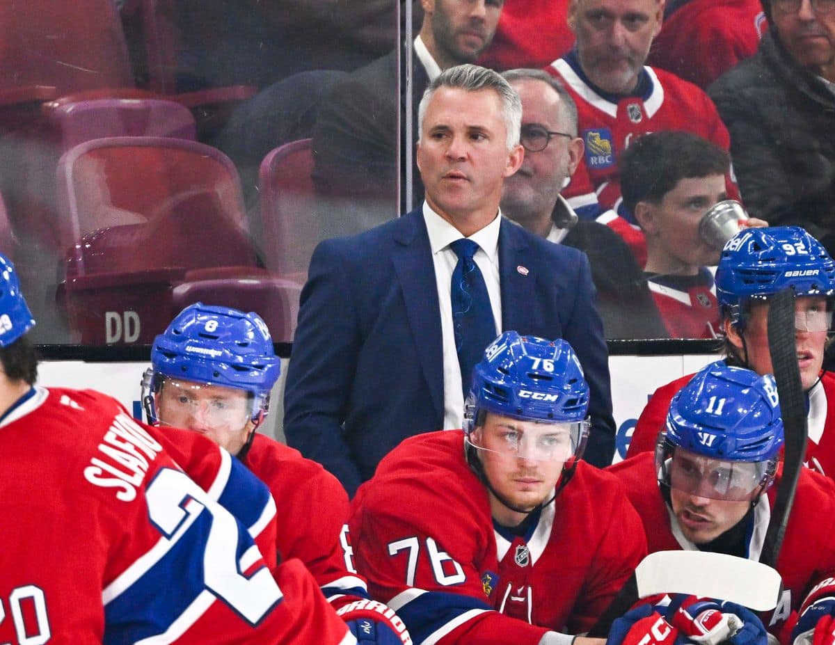 Le CH doit-il &ecirc;tre plus &laquo;plus gros&raquo;? Pas n&eacute;cessairement selon St-Louis