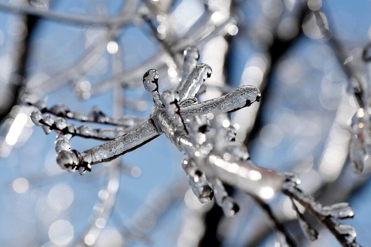 Jusqu'&agrave; 5 mm de verglas attendus