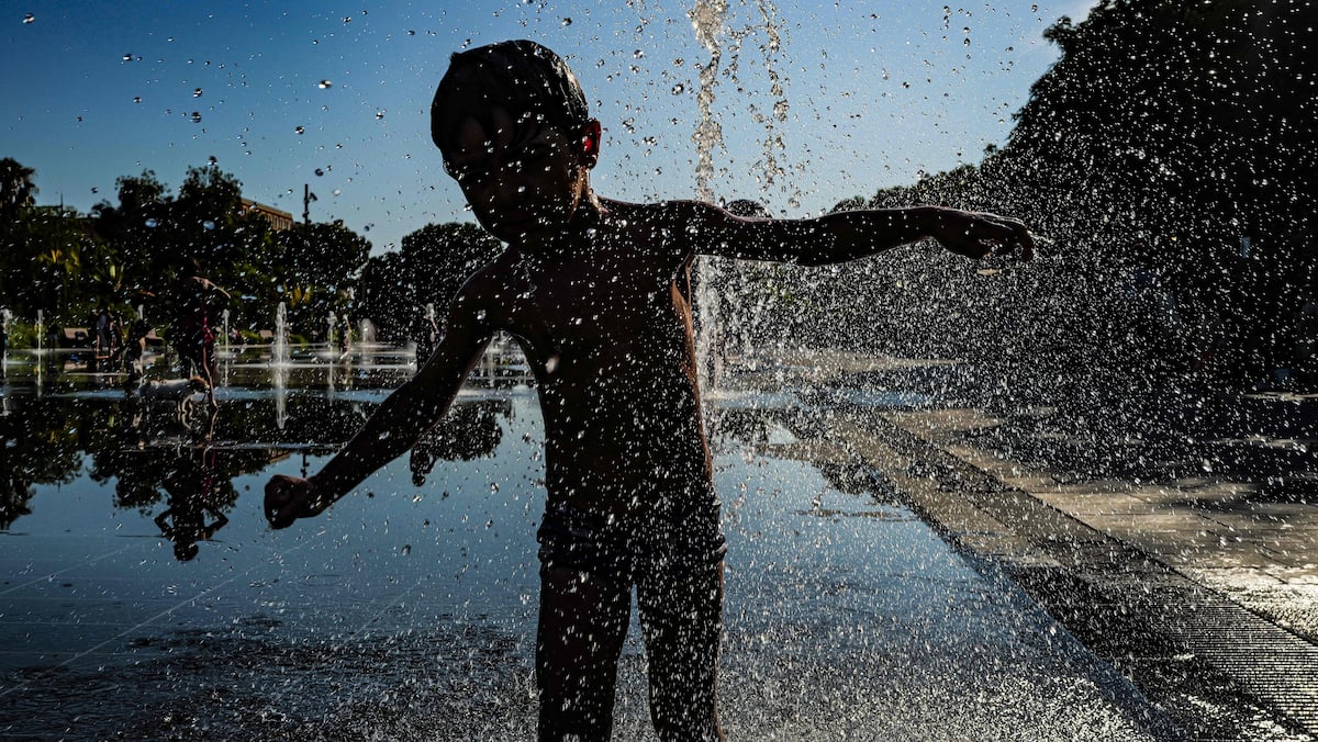 Climate change, “unequivocally” guilty of the intense heatwave in Europe Climate change, “unequivocally” guilty of the intense heatwave in Europe