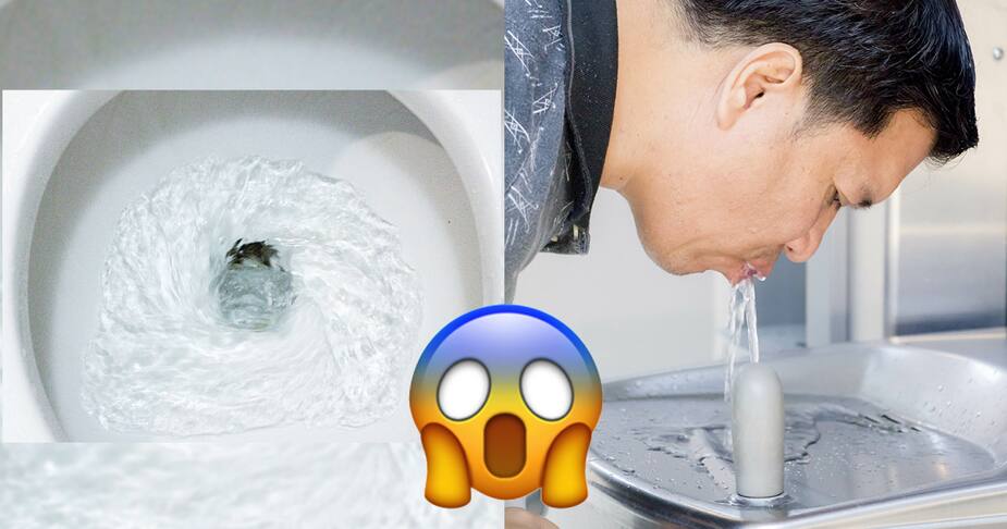 Image principale de l'article Ils ont bu de l’eau destinée aux toilettes